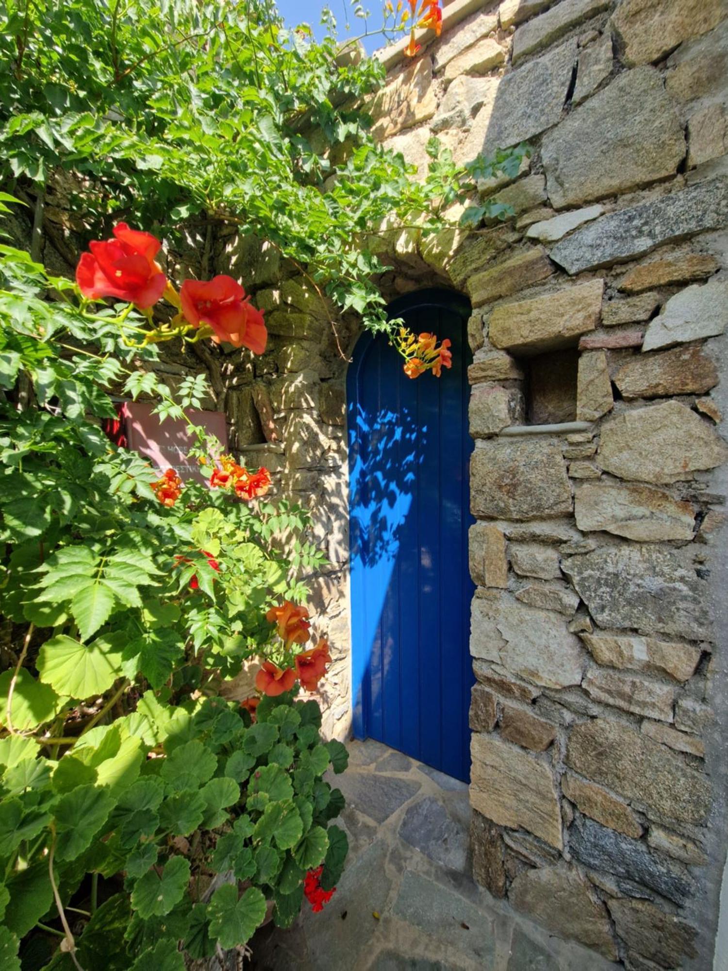 Sea View * Fanari (Mykonos)